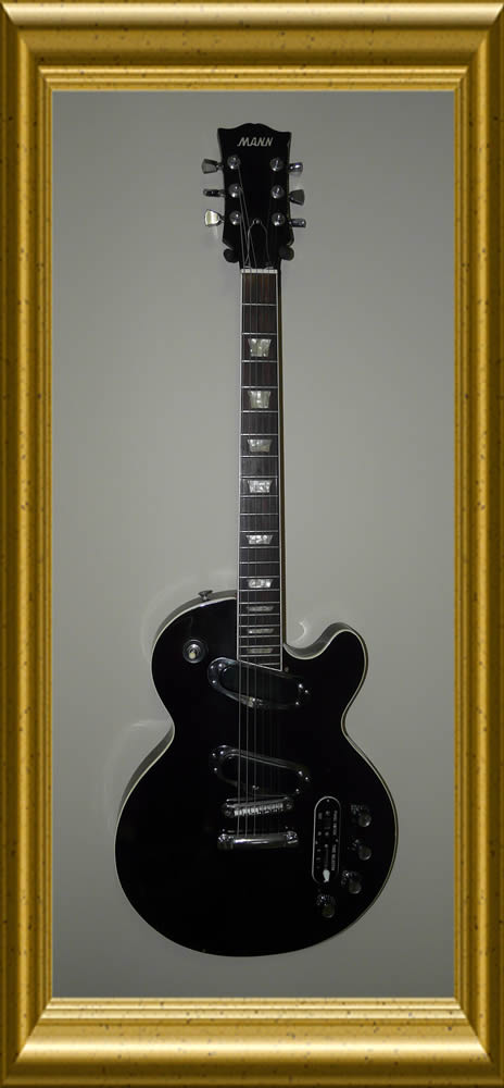 Mann Guitar LP Professional
